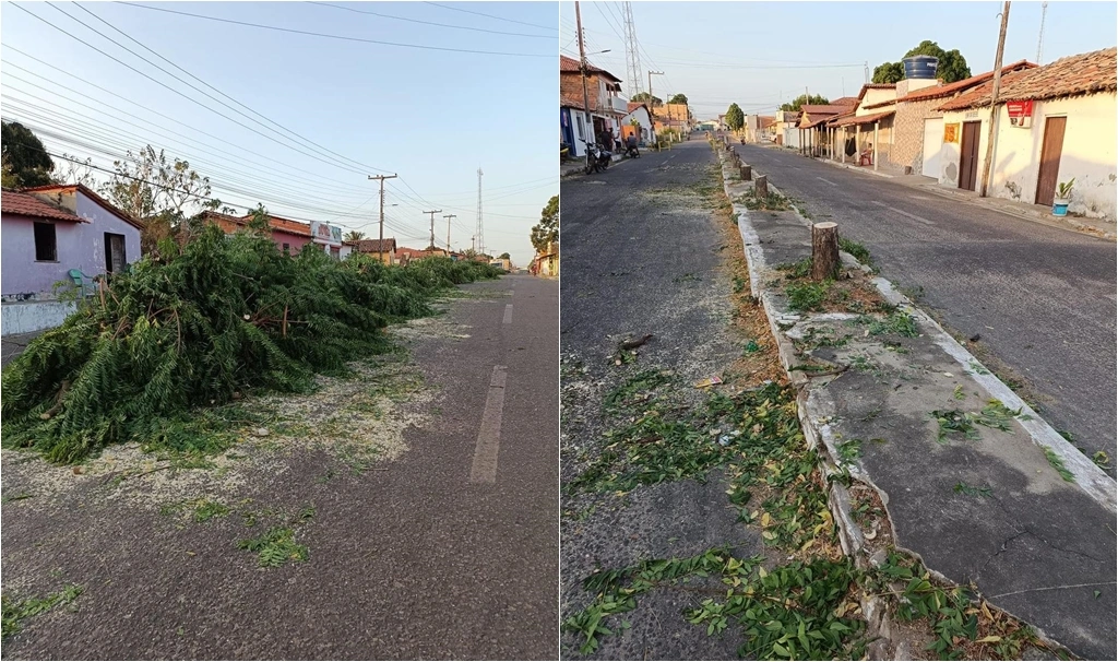 Árvores cortadas a mando da Prefeitura de Buriti dos Lopes