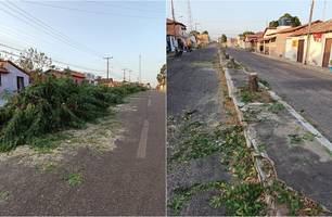 Árvores cortadas a mando da Prefeitura de Buriti dos Lopes (Foto: Reprodução)