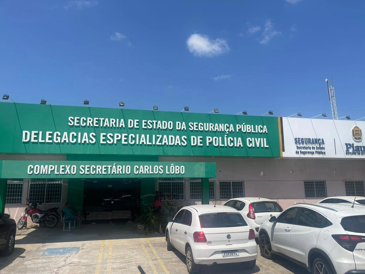Delegacias Especializadas de Polícia Civil