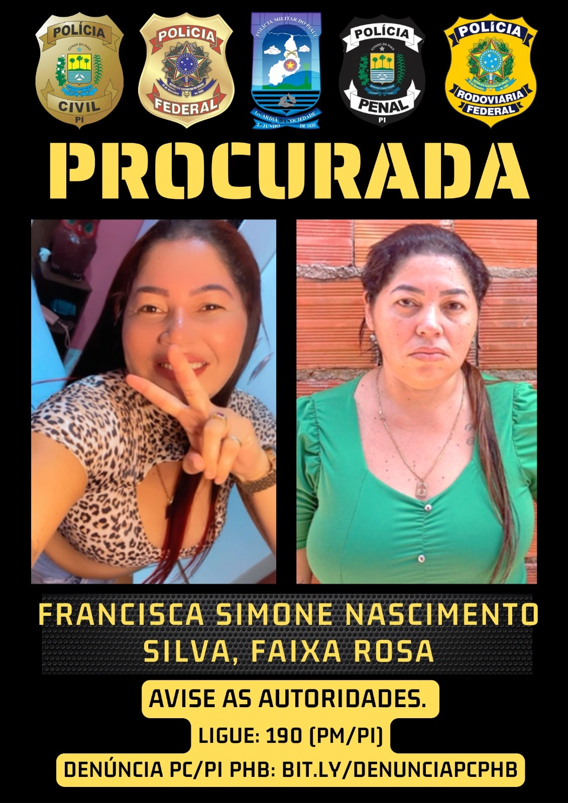 Foragida da Justiça