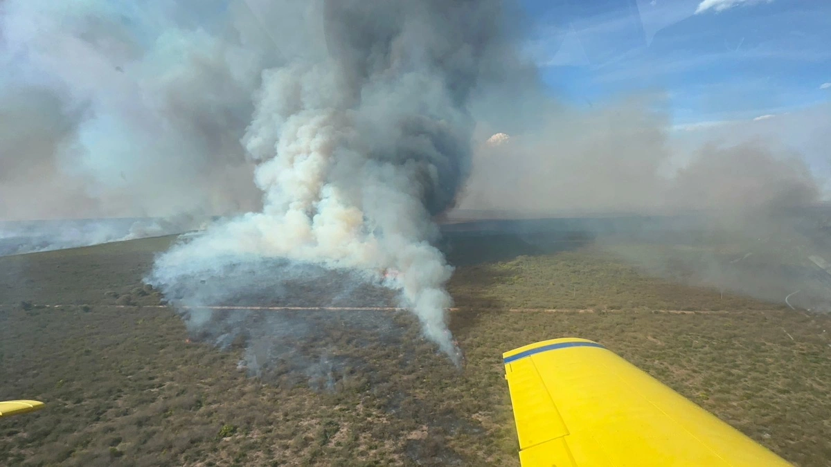 Incêndio de grande proporções ameaça Parque Nacional Serra das Confusões