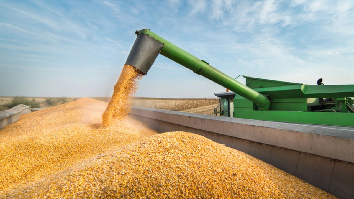 Cidades piauienses do MATOPIBA devem liderar crescimento de produção por dez anos