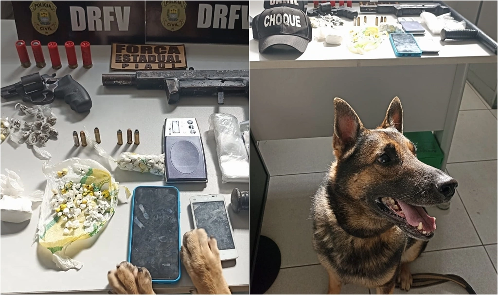 Itens apreendidos na operação