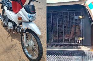 Mulher tenta fugir da polícia e é presa com motocicleta roubada em Teresina (Foto: Reprodução)