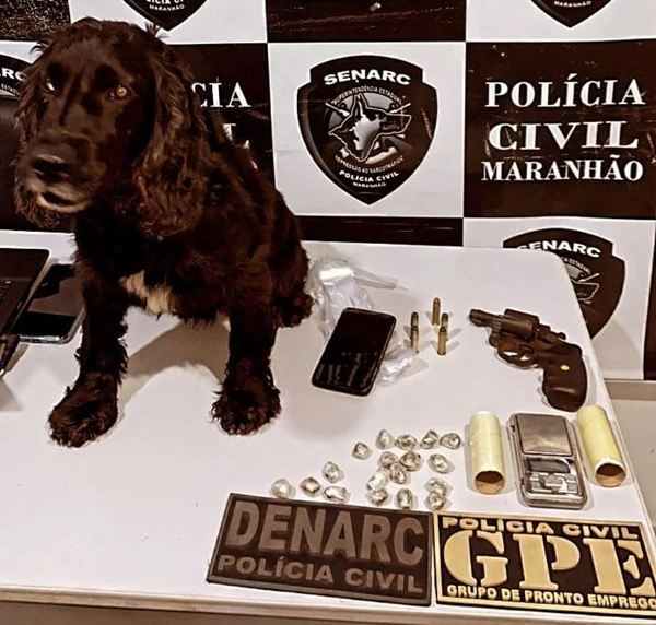 Núcleo de Operação com Cães (NOC) participou da operação