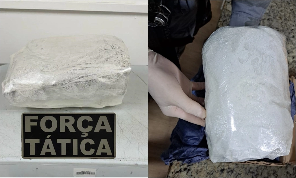 Drogas apreendidas pela PM-PI