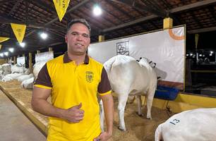 Fazenda Conquista & Nelore IN exibem qualidade no Leilão Joias da Raça Nelore (Foto: Stefanny Sales / Conecta Piauí)