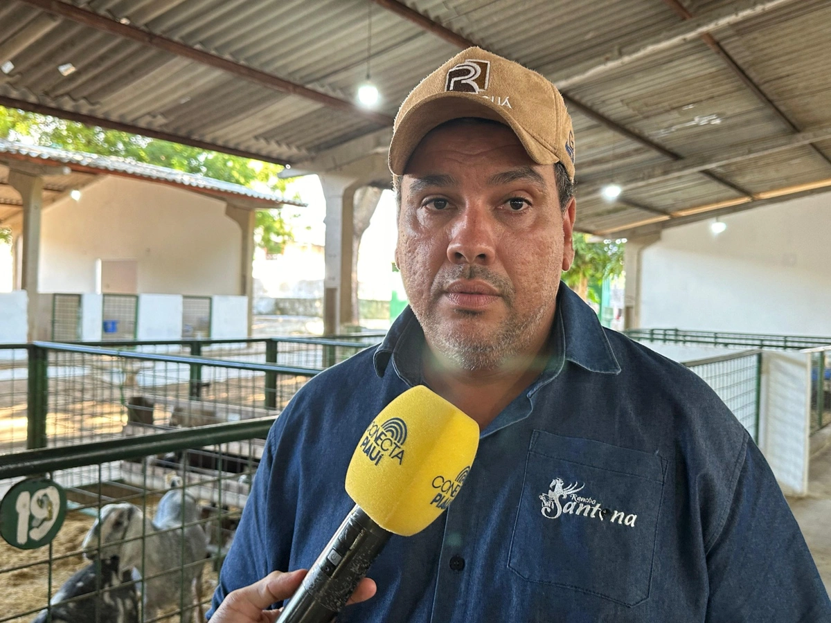 Hermógenes Santana