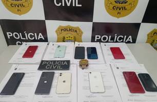 Celulares roubados e furtados (Foto: Divulgação/ PC-PI)