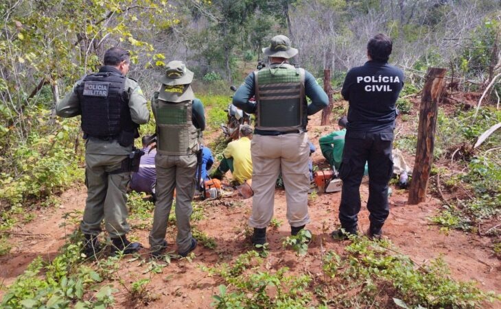 Cinco detidos durante a operação