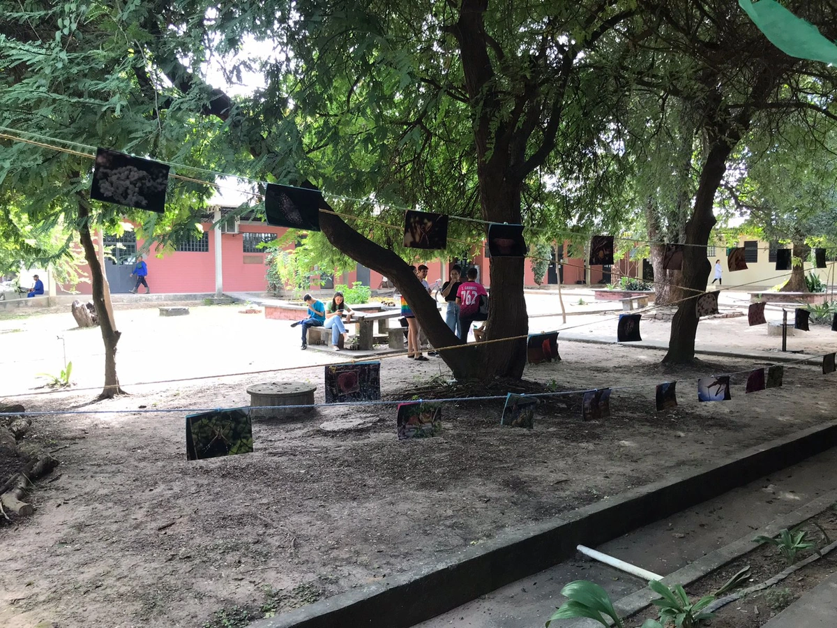 III Feira de Biologia