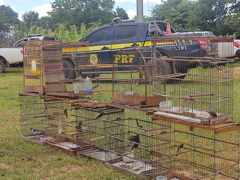 Operação Outono 2023