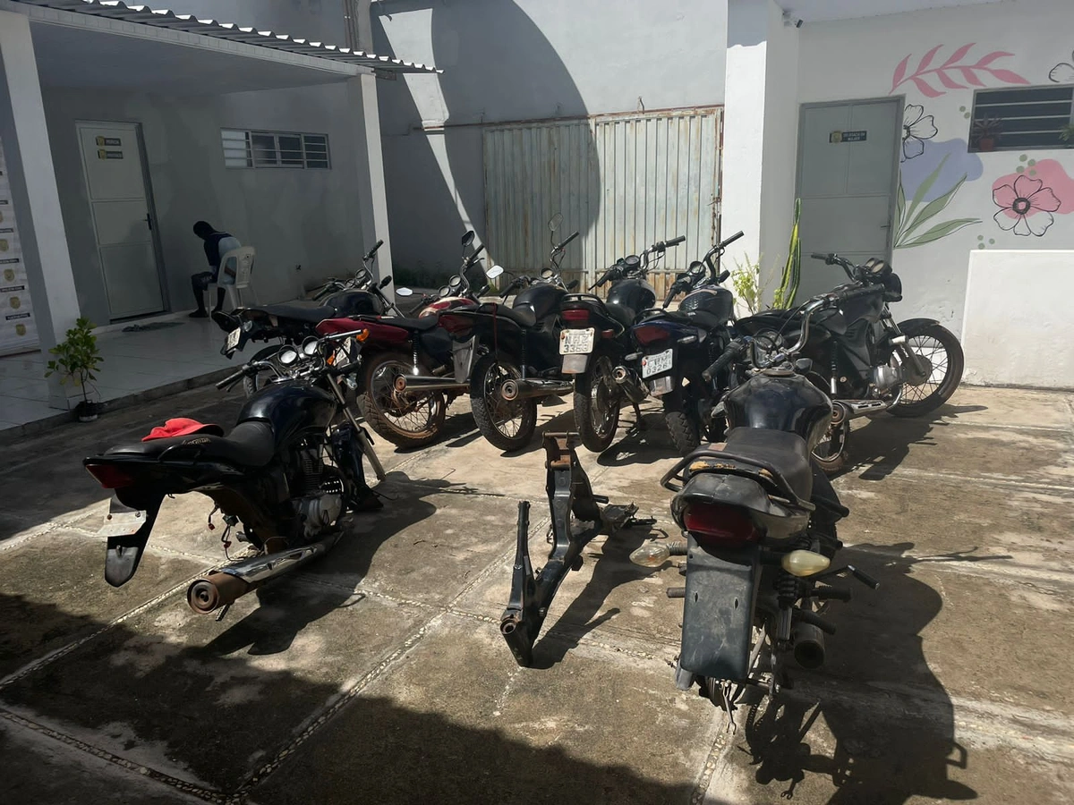 Operação Paralama