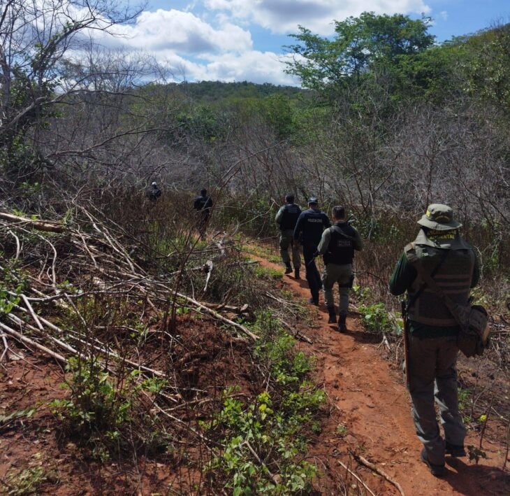 Semarh realiza Operação de fiscalização do cerrado no Sul do Piauí com apoio da Polícia Civil