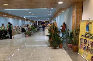 Feira “Artes Mulheres” (Foto: Reprodução)