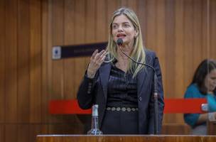 A deputada estadual Gracinha Mão Santa (Foto: Divulgação/Alepi)