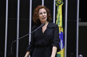 Deputada federal Carla Zambelli (PL-SP) (Foto: Michel Jesus/ Câmara dos Deputados)