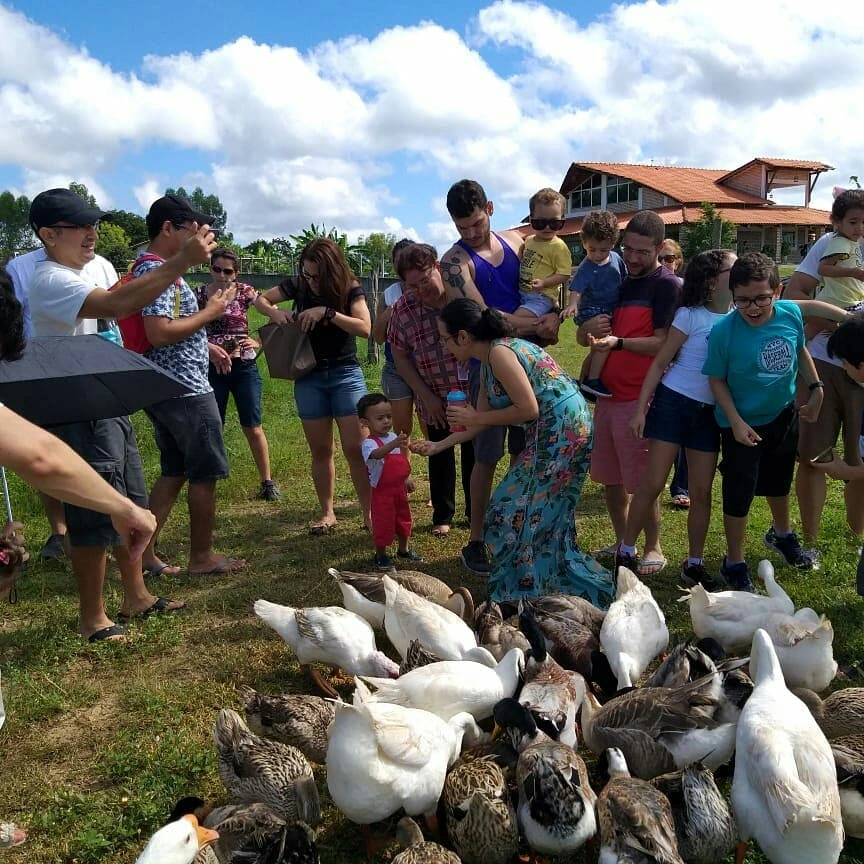 Fazenda do Leite @fazendadoleite