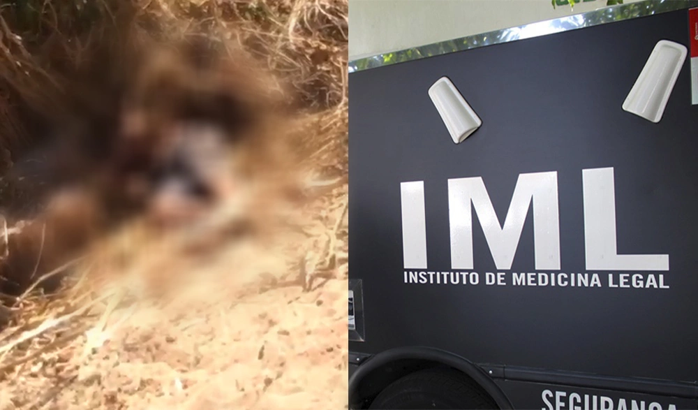 Homem é encotrado morto em área de mata