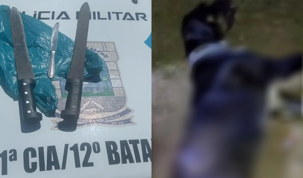 Homem é preso após matar cachorro com facão