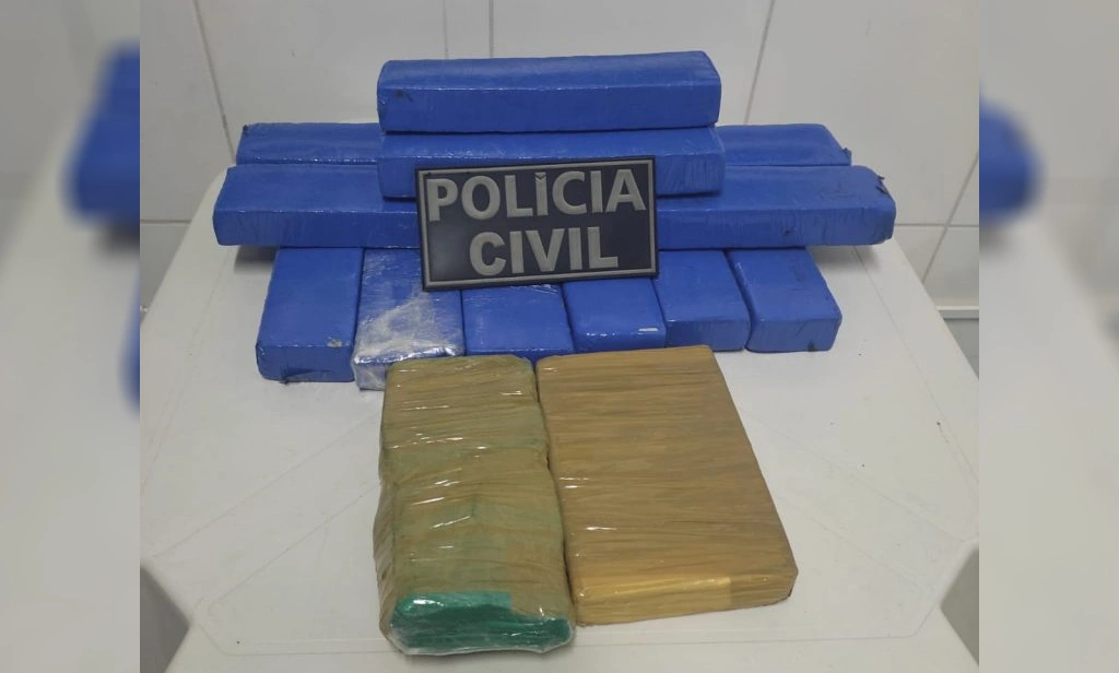Material apreendido