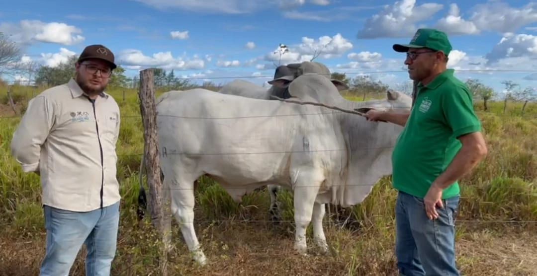 Médico veterinário e produtor, João Neto e o engenheiro agrônomo e técnico de campo da ABCZ, Davi Donizeti