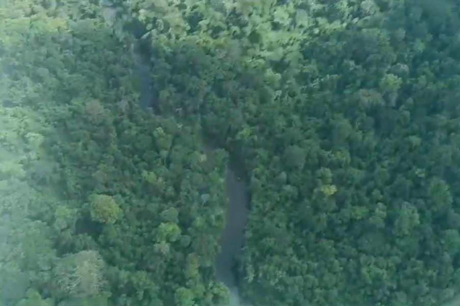 Amazônia