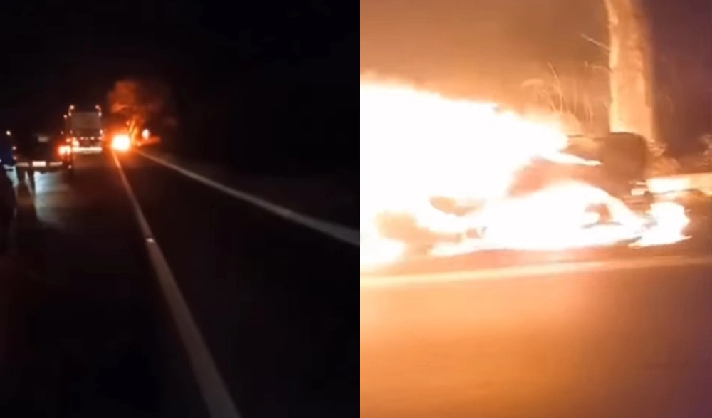 Carro pega fogo após colisão contra animal