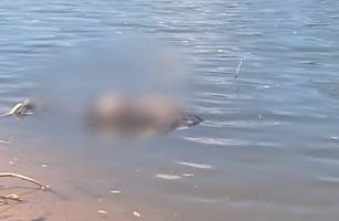 Corpo de homem é encontrado por pescador às margens do rio Poti, em Teresina (Foto: Reprodução)