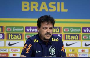 Fernando Diniz (Foto: Thais Magalhães/CBF)