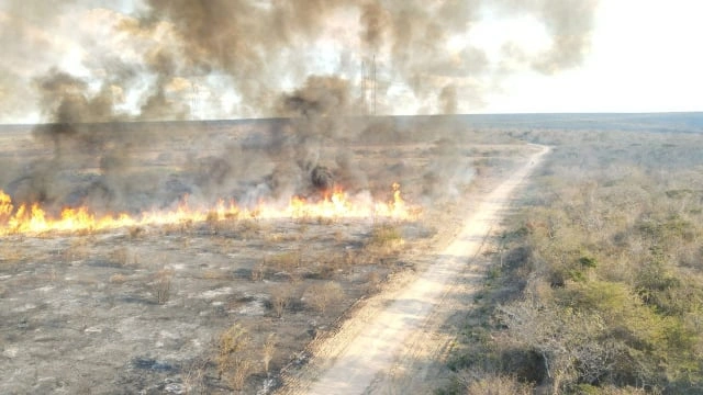Incêndio em Canto do Buriti