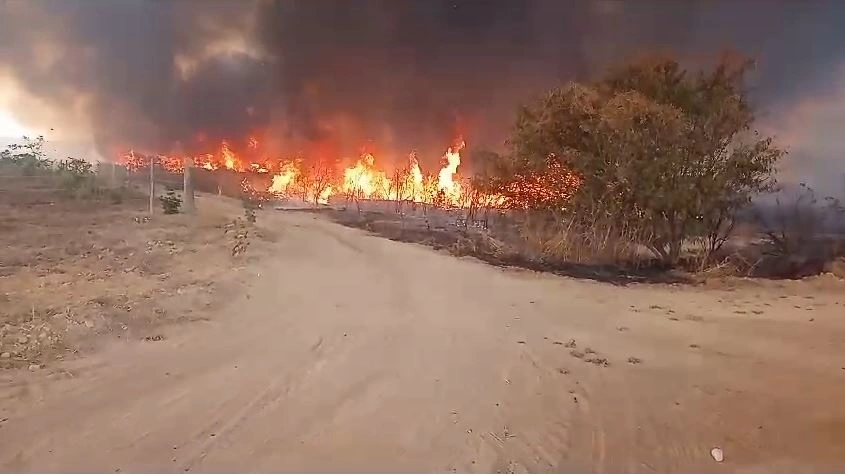 Incêndio em Canto do Buriti