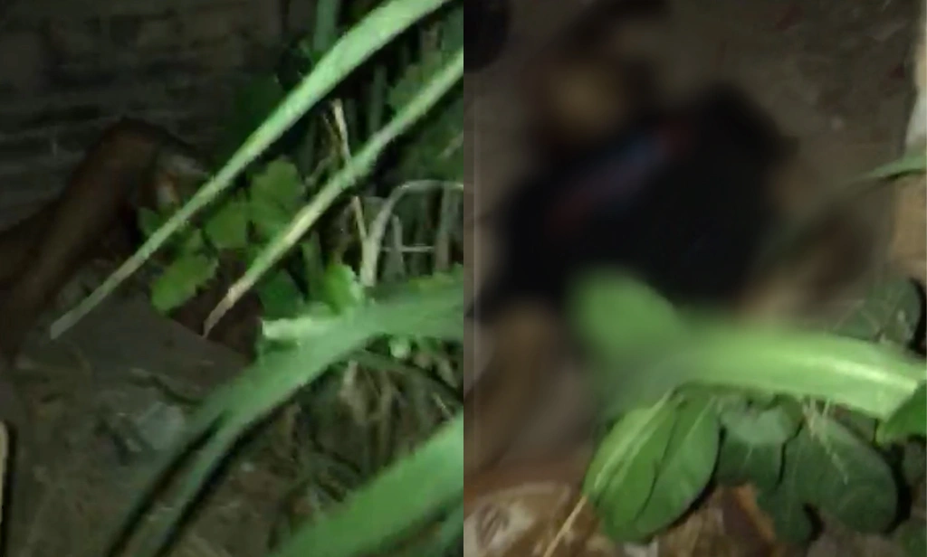 Jovem é morto a tiros no Piauí