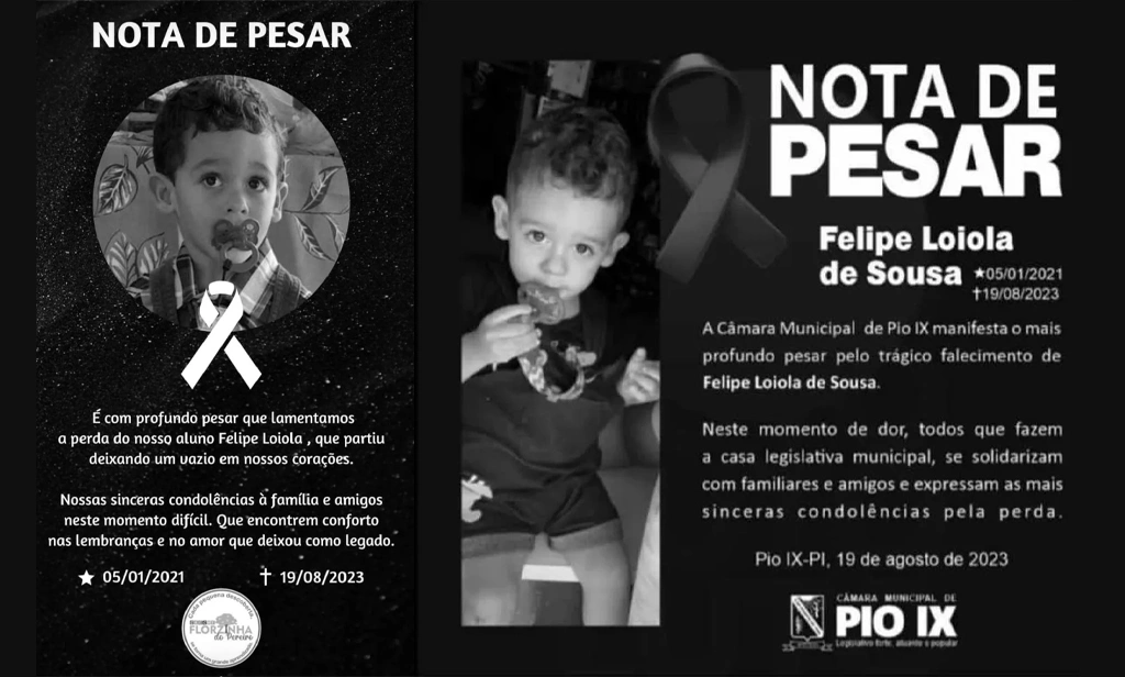 Notas de pesar