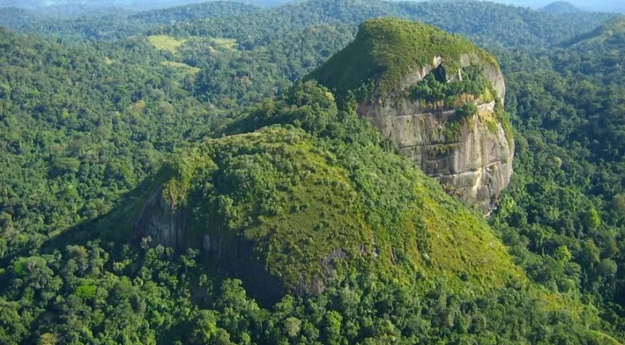 Parque Nacional Montanhas do Tumucumaque