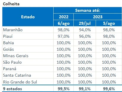 Primeira safra