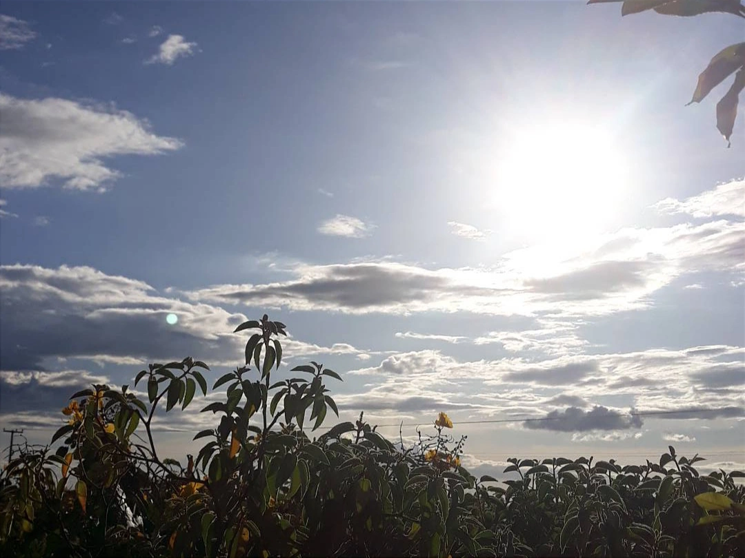 Sol