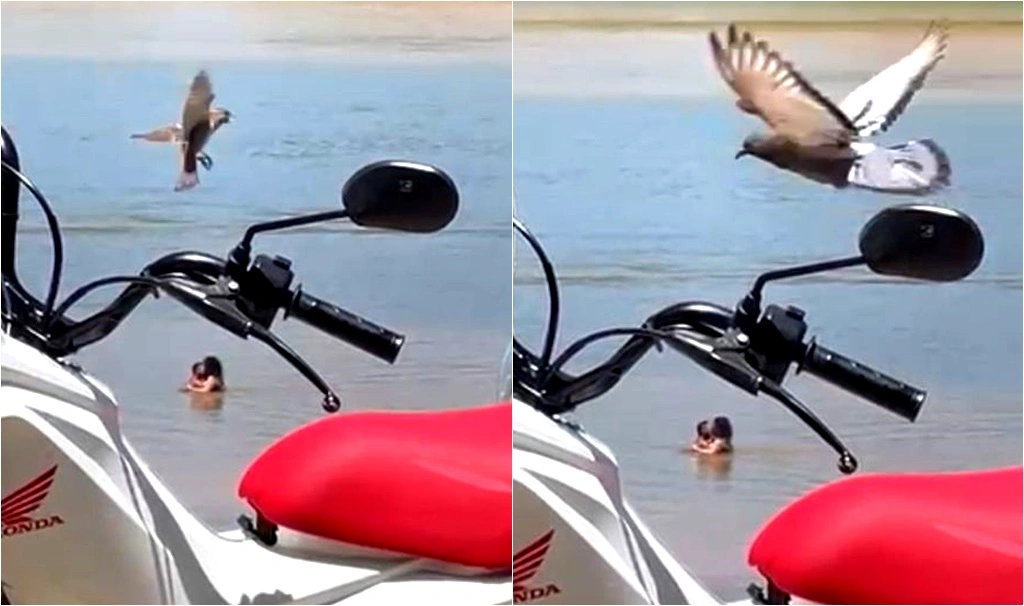 Casal se ama no rio