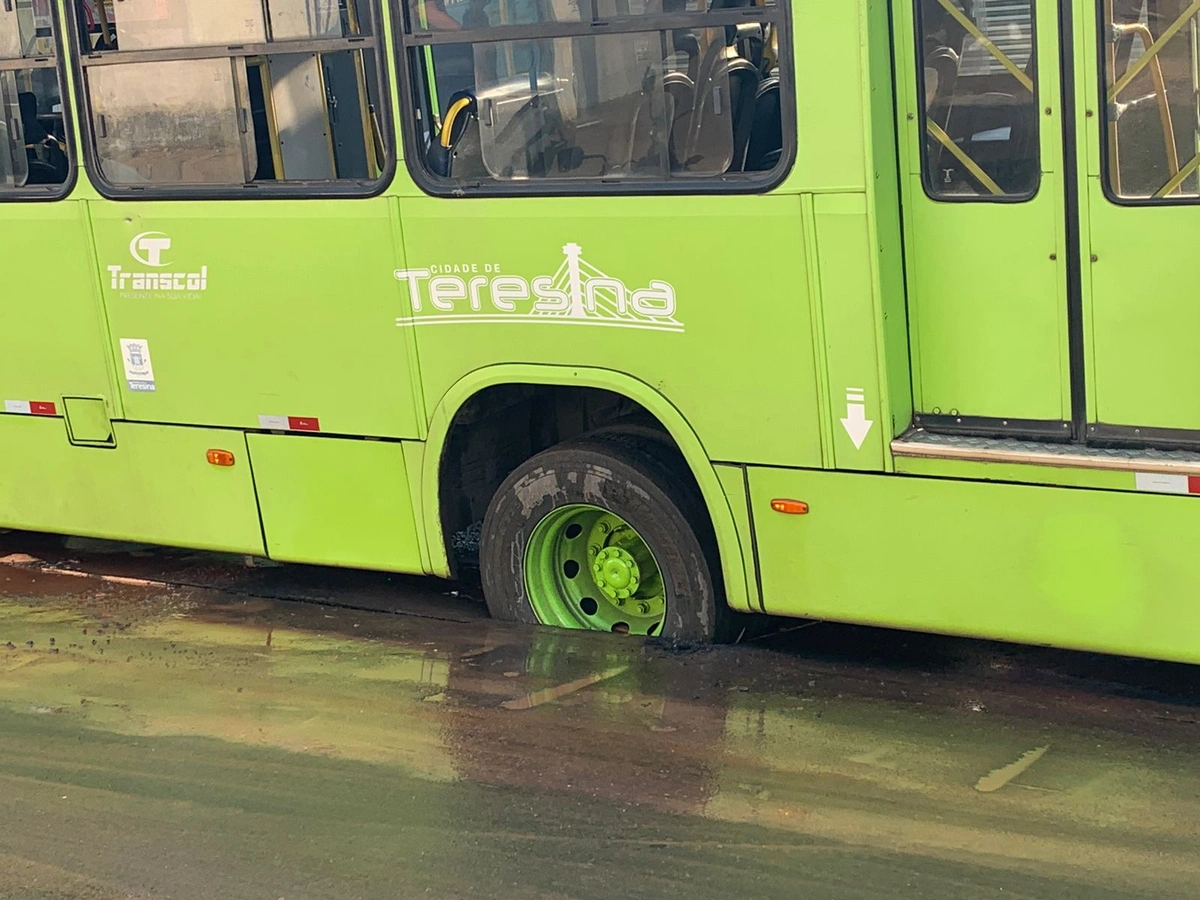 Ônibus