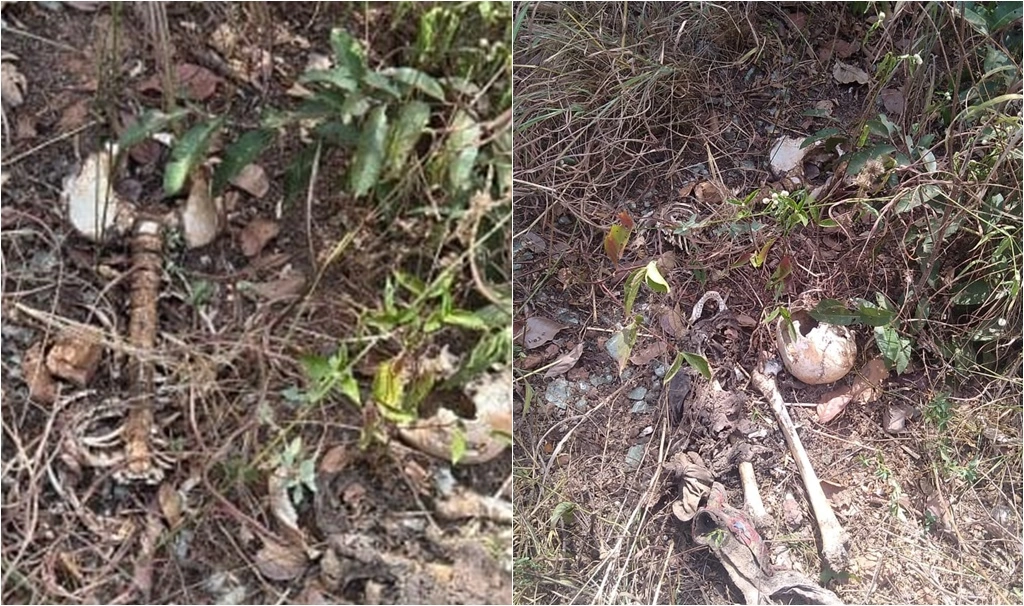 Ossada encontrada em Teresina