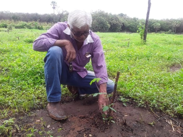 Projeto do Piauí é premiado no maior congresso de apicultura do mundo