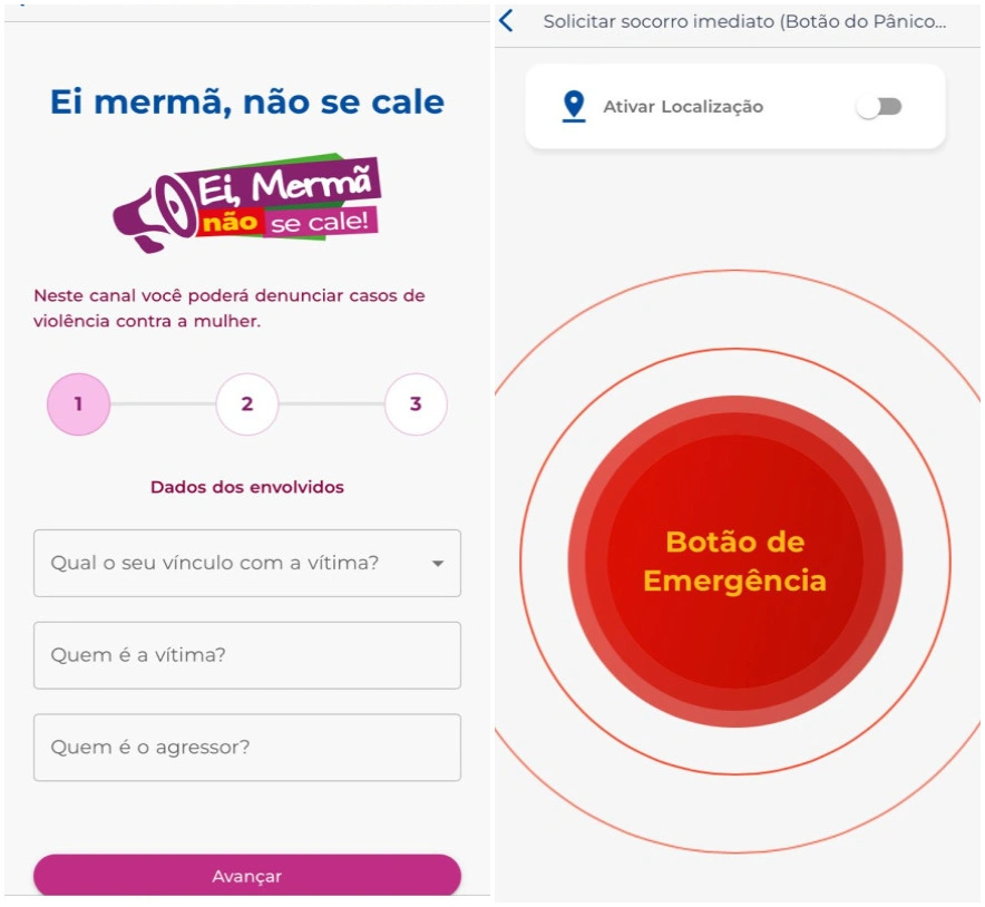 Serviços prestados pela SSP no aplicativo
