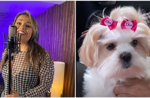 Cantora da banda 'Farra da Gordinha' pede ajuda para encontrar cadela em Teresina (Foto: Reprodução)