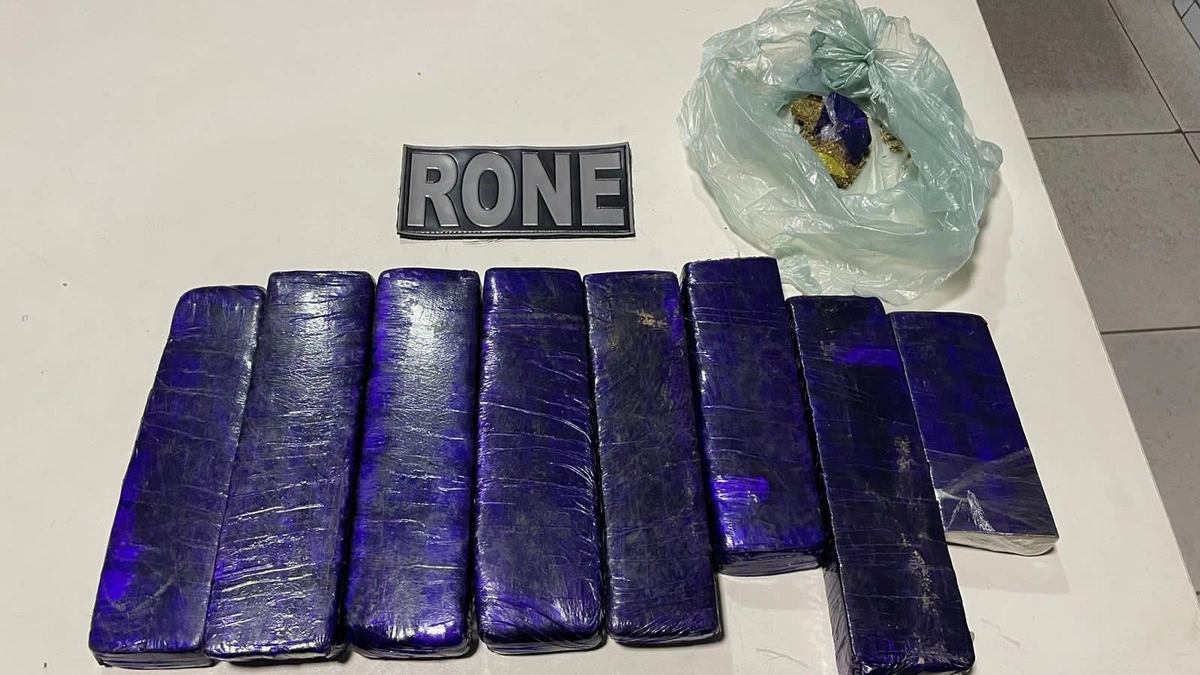 Polícia Militar apreende grande quantidade de drogas na zona Sul de Teresina