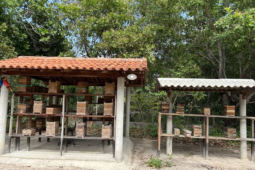 Chico Museu - Esperantina