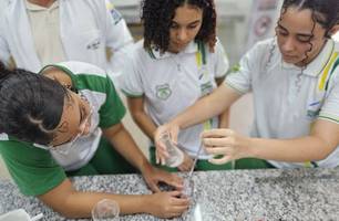 Floriano: professor e alunos criam repelente natural contra mosquito da dengue (Foto: Reprodução)