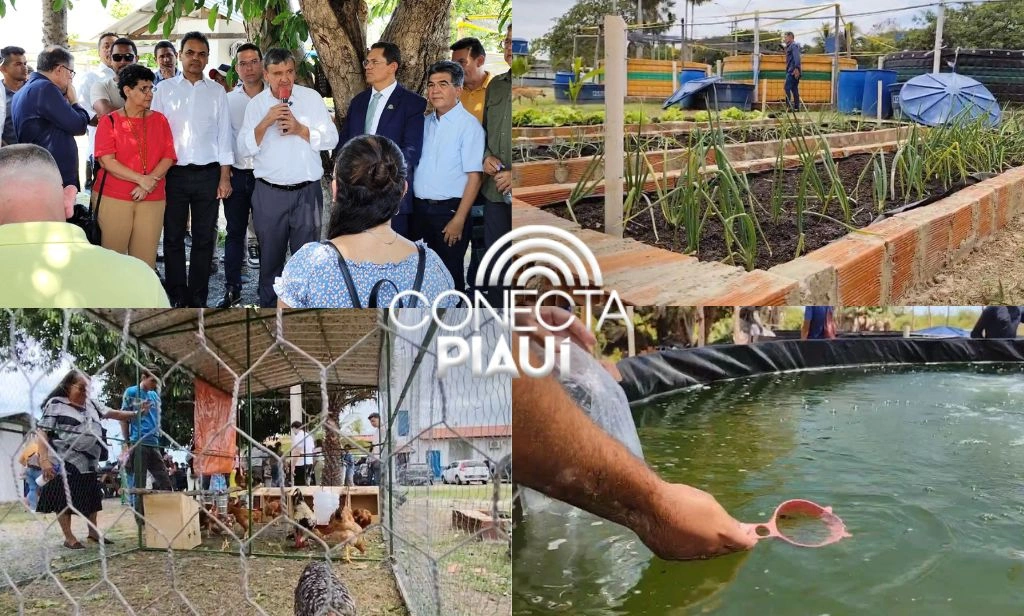 Ministro Wellington Dias lança programa 'Acredita no Primeiro Passo' em Parnaíba