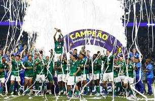 Palmeiras é campeão do Brasileirão Sub-20 (Foto: Reprodução)