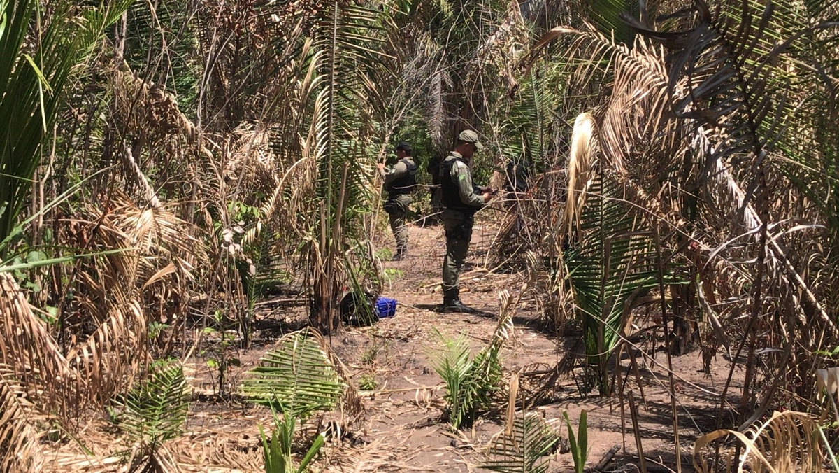 Corpos de irmãs desaparecidas são encontrados em Teresina