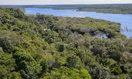 Desmatamento na Amazônia cai 30,6% em um ano (Foto: Fabio Rodrigues-Pozzebom/Agência Brasil)